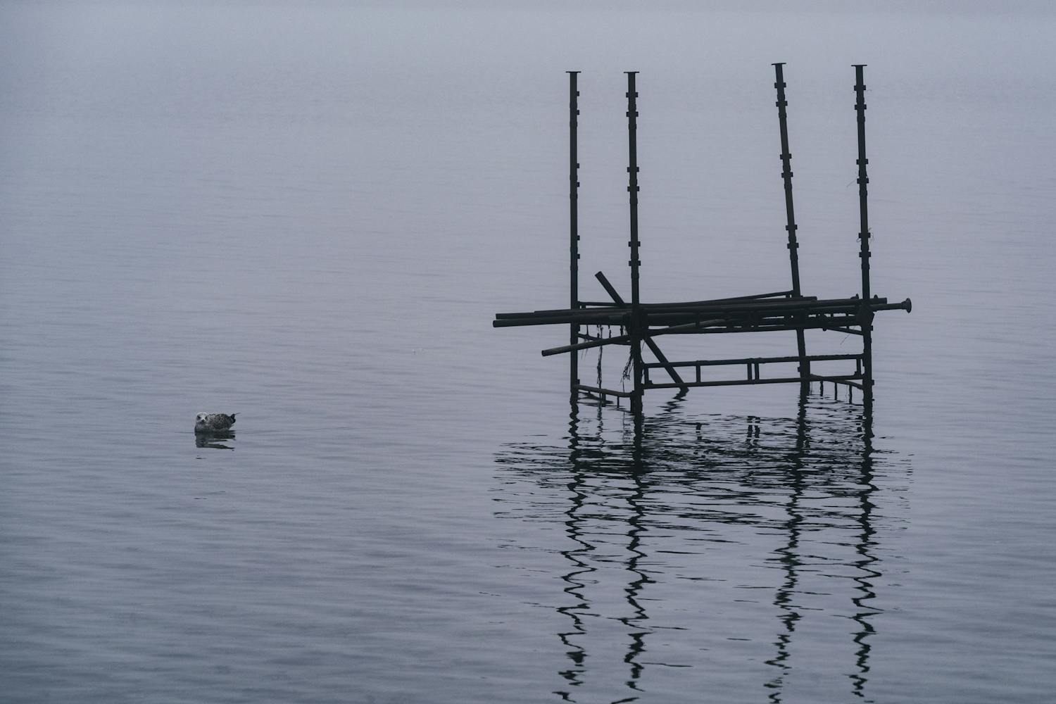 Enkelt landskapsbilde uten himmel